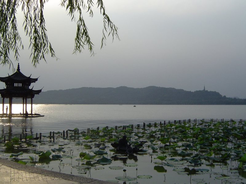 杭州经典景点与历史街巷探索（Mark · 中英）